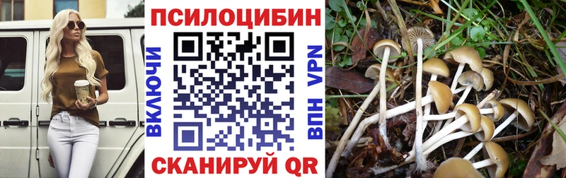 Псилоцибиновые грибы Psilocybine cubensis  Джанкой 