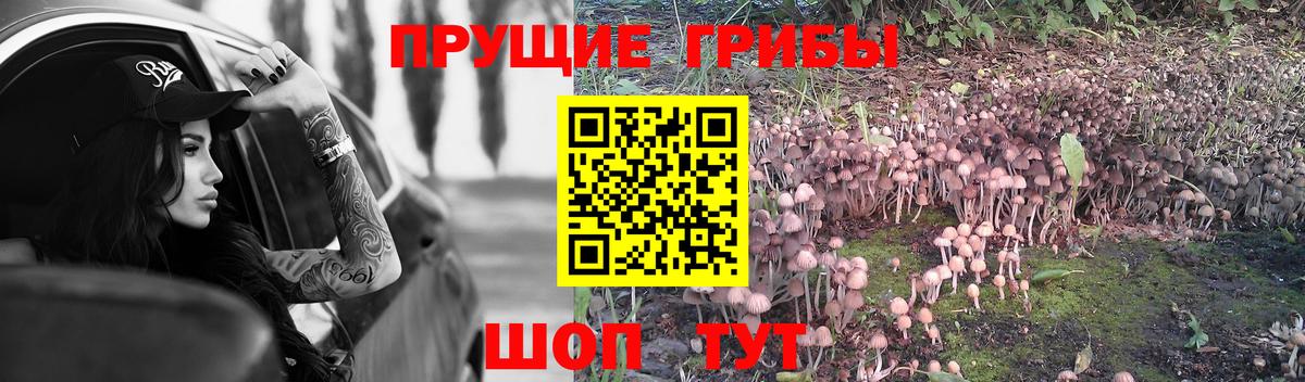 Галлюциногенные грибы Magic Shrooms  Вход с VPN  Джанкой 