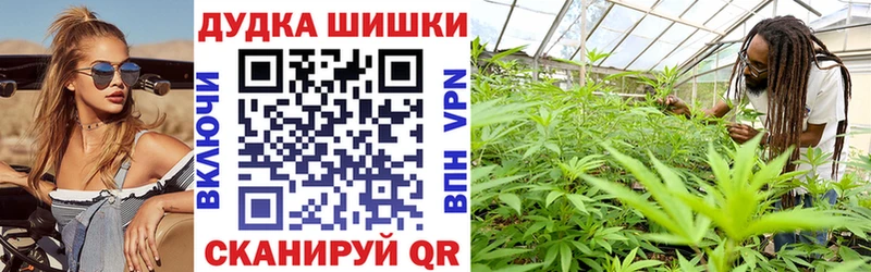Шишки марихуана семена  Джанкой 